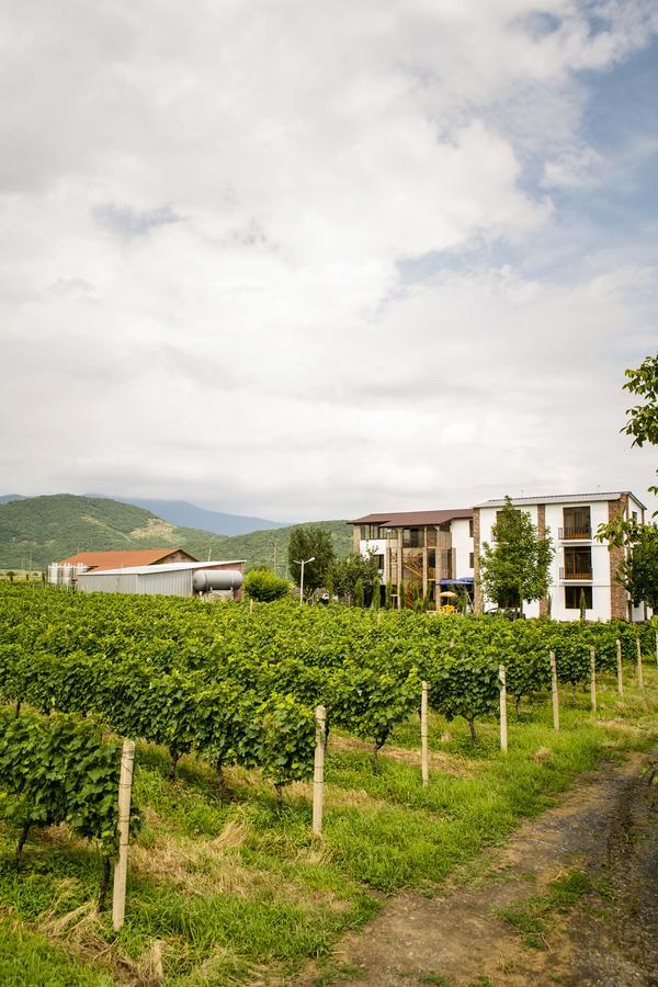 Shaloshvili'S Cellar Hotel Shilda Eksteriør billede